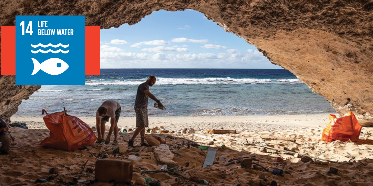 Volunteers clear pollution on Henderson Island, an isolated island in the Pitcairn Islands in the South Pacific