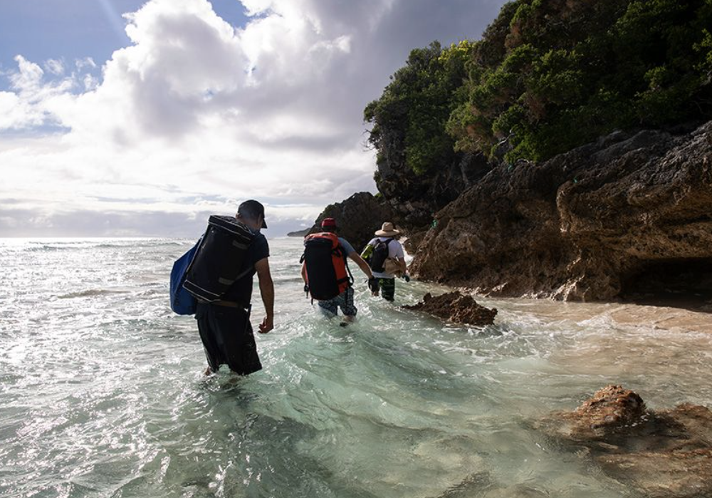 Volunteer team treks through the waters cleaning up trash surrounding Henderson Island beach