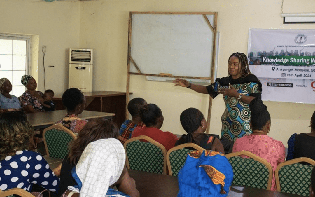 Women’s Environmental Programme: Championing Sustainability and Economic Growth in Nigeria