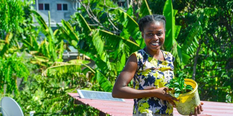 Resilience in Haiti: <em> One Year Retrospective </em>