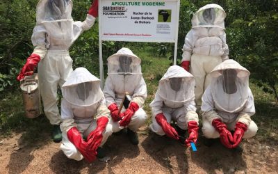 Funding a High Impact Project in Burkina Faso