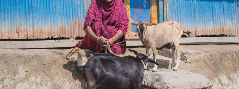 One Year of the Global Relief Navigator