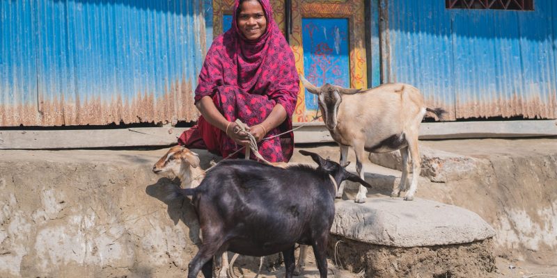 One Year of the Global Relief Navigator