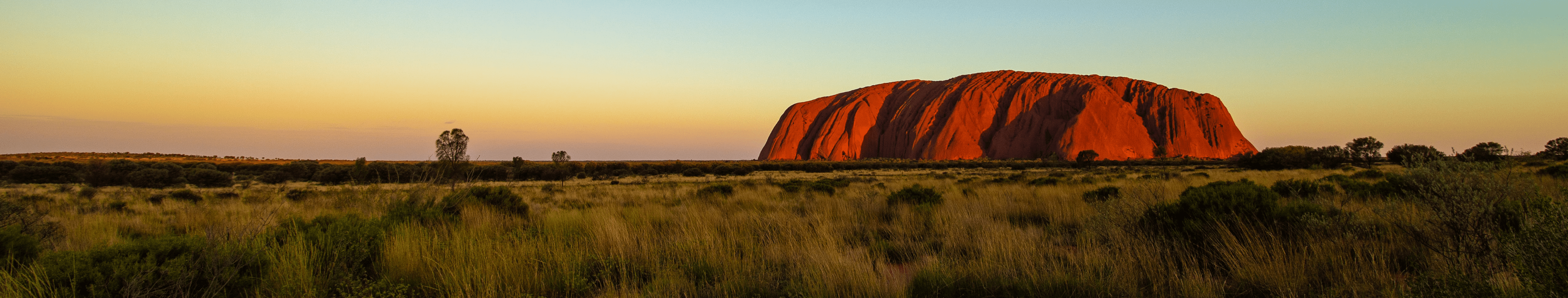 Australian Bushfire Relief Fund