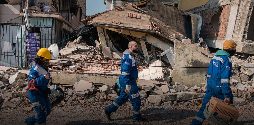 Earthquake Response in Türkiye and Syria Continues: Reports from the Field