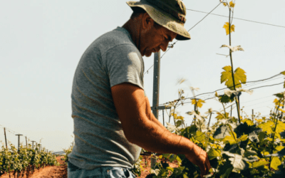 The Fight Against Hunger in Argentina